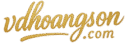 vdhoangson.com